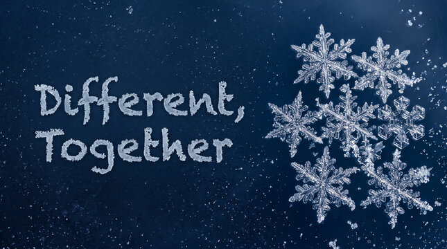 Text reading different together with several intricate white snowflakes on a dark blue frosted glass surface with surface representing uniqueness detailed snowflake patterns collaboration