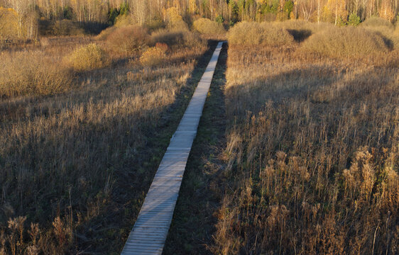 An ecological trail in an autumn forest.