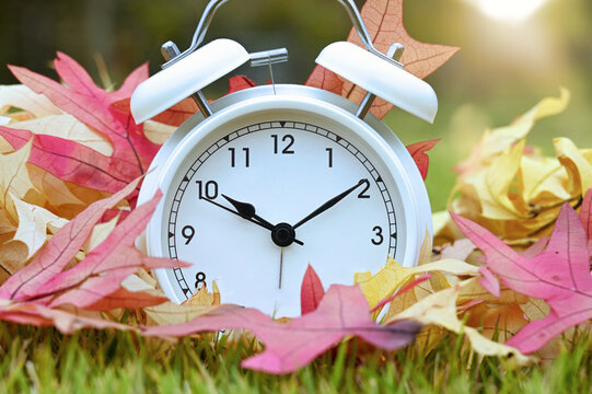 Concept - clock in autumn leaves, changing the clocks off Daylight Savings Time or ageing