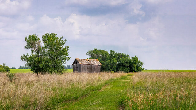 Rustic Abandoned Shed Along a Grassy Trail in the Prairie Countryside
