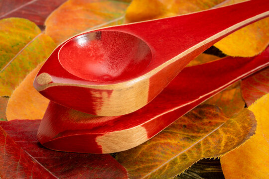 Wooden musical spoons, folk percussion instrument on colorful dry leaves