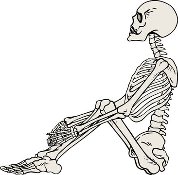 A seated skeleton rests its hands on its knees, gazing upward thoughtfully, awaiting something unseen.