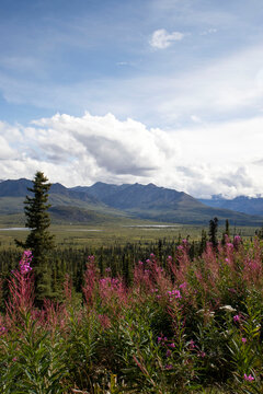 Mountains on the Glenn Highway in Alaska