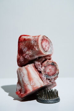 Frozen bone marrow 
Pieces on a White Surface
