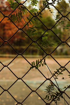 barbed wire fence