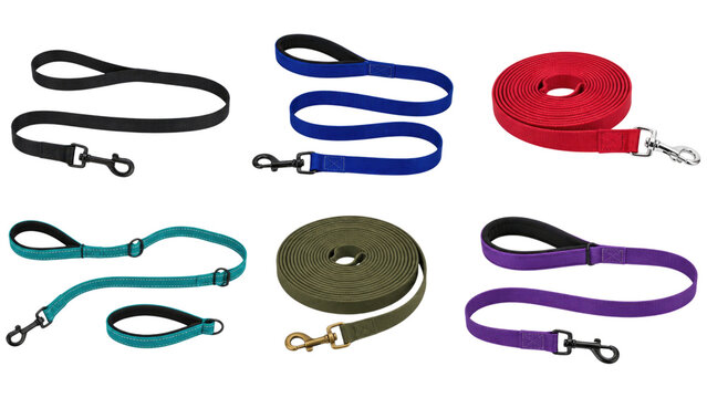 Assorted flat nylon dog leashes in six colors on transparent background, each with loop handle and metal clip for walking, training, and long-line use