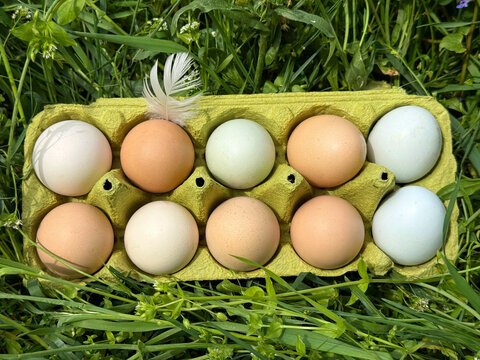 Eggs.