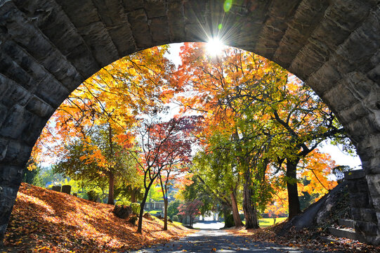 Vibrant autumn trees fall foliage through a stone arch with sunburst, Staunton VA