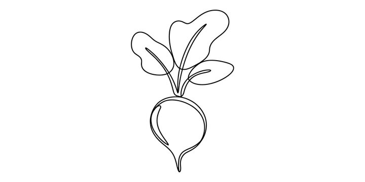 Simple line art drawing of a fresh garden radish vegetable isolated on transparent background