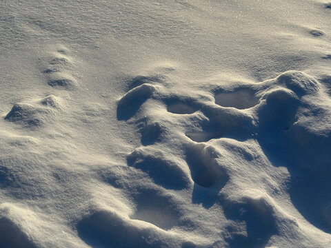 White snow surface winter background