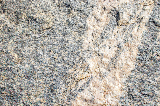 Close-up of a rough grey granite rock featuring a prominent white quartz mineral vein cutting vertically through the textured crystalline surface.