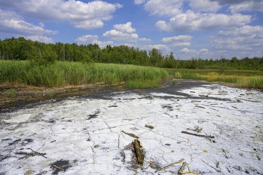 Soos Mineral Moor, Skaln&aacute;, Karlovarsk&yacute; kraj, Czech Republic