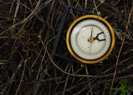 Compass navigation on forest ground with dry branches and natural woodland background