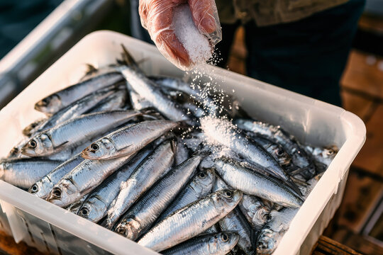A worker scatters salt over fish in a plastic crate at a fish processing site, preparing the catch for storage
