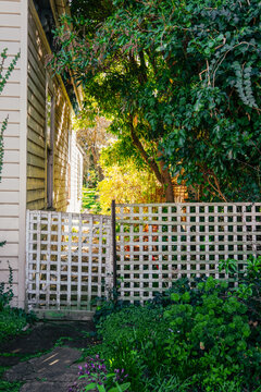 Looking through to garden