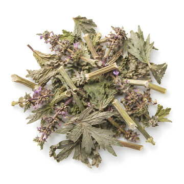 Dried motherwort herb, Leonurus cardiaca, Yi mu cao, Chinese herbal medicine on white background