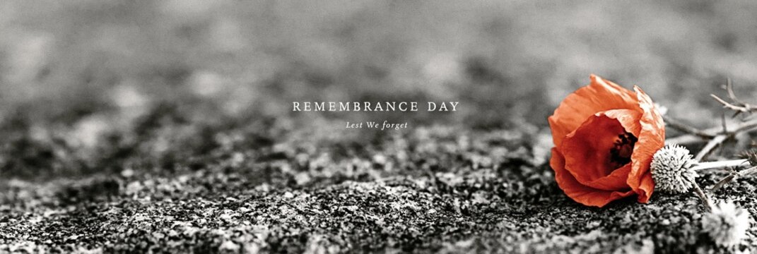 Red poppy flower on textured stone background, Remembrance Day memorial concept with Lest We Forget text