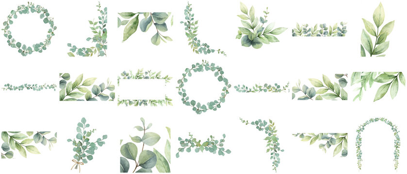 Elegant watercolor eucalyptus leaves, a comprehensive collection of frames, borders.