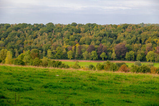 Autumn landscape, The terrain hilly countryside in border of Netherlands and Belgium, Lush green grass on hillside with yellow orange leaves on trees, Sint-Martens-Voeren, Belgian province of Limburg.