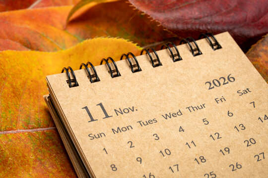 November 2026 - small spiral desktop calendar against dry colorful leaves, time and business concept