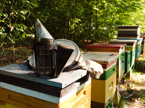 Traditional beekeeping apiary in sunny forest with vintage metal bee smoker and protective veil hat resting on colorful wooden beehives, rustic honey production scene, sustainable agriculture.