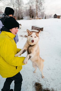 Enjoying Winter Fun With a Playful Husky in a Snowy Landscape