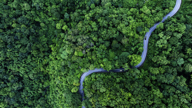 Forest Transportation Corridor Supporting Climate Resilience and ESG Investment
